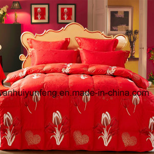 Chinese Supplier Feather Down Quilt/Duvet/Comforter
