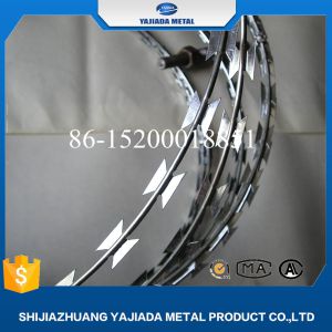 Galvanized Low Price Concertina Razor Barbed Wire